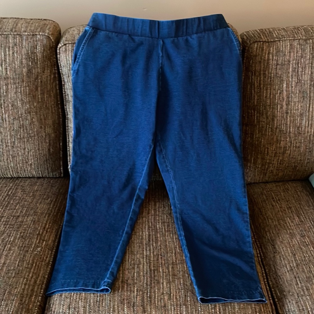 Brand new, never worn, indigo slim crop pants.